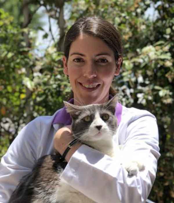 Dr. Lucy Cohen, a female veterinarian with her long, brown hair pulled back, hugs a gray and white cat and smiles at the viewer.